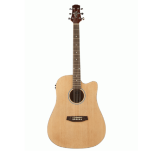 Ashton D20CEQ NTM Dreadnought Cutaway